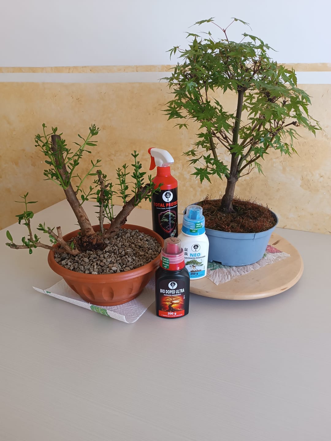 Customer photo review of TOTAL PROTECT CB® (AFIDI, COCCINIGLIA, RAGNETTO ROSSO, MAL BIANCO)
