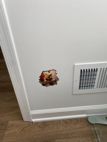 Customer photo review of Toilet Mouse Hole Decal