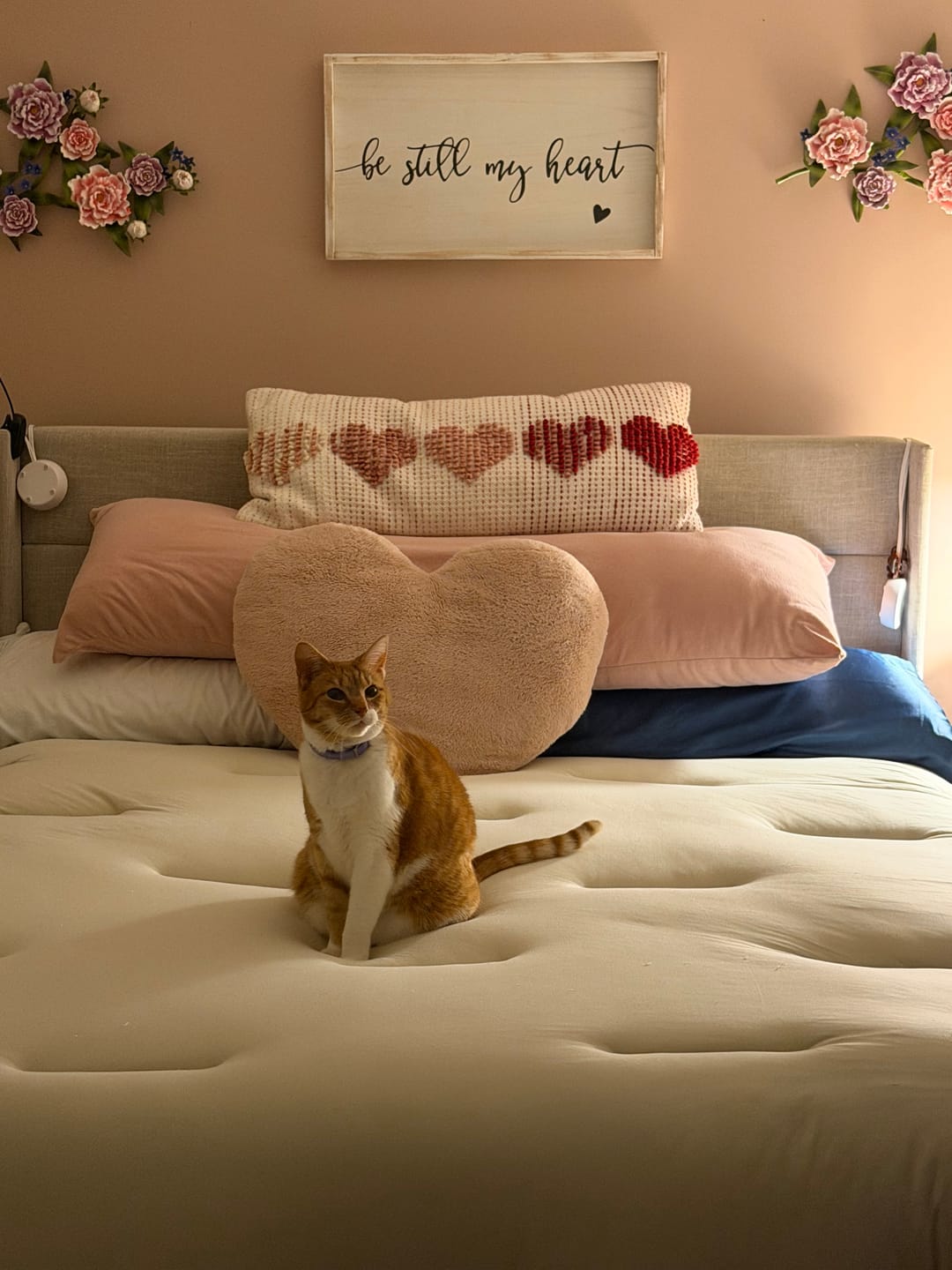 Customer photo review of Waterproof & Stain-Resistant Hotel Pillow
