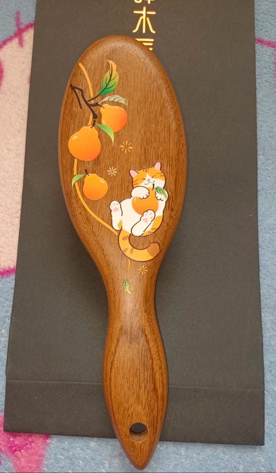 Customer photo review of Orange Cat Hair Brush