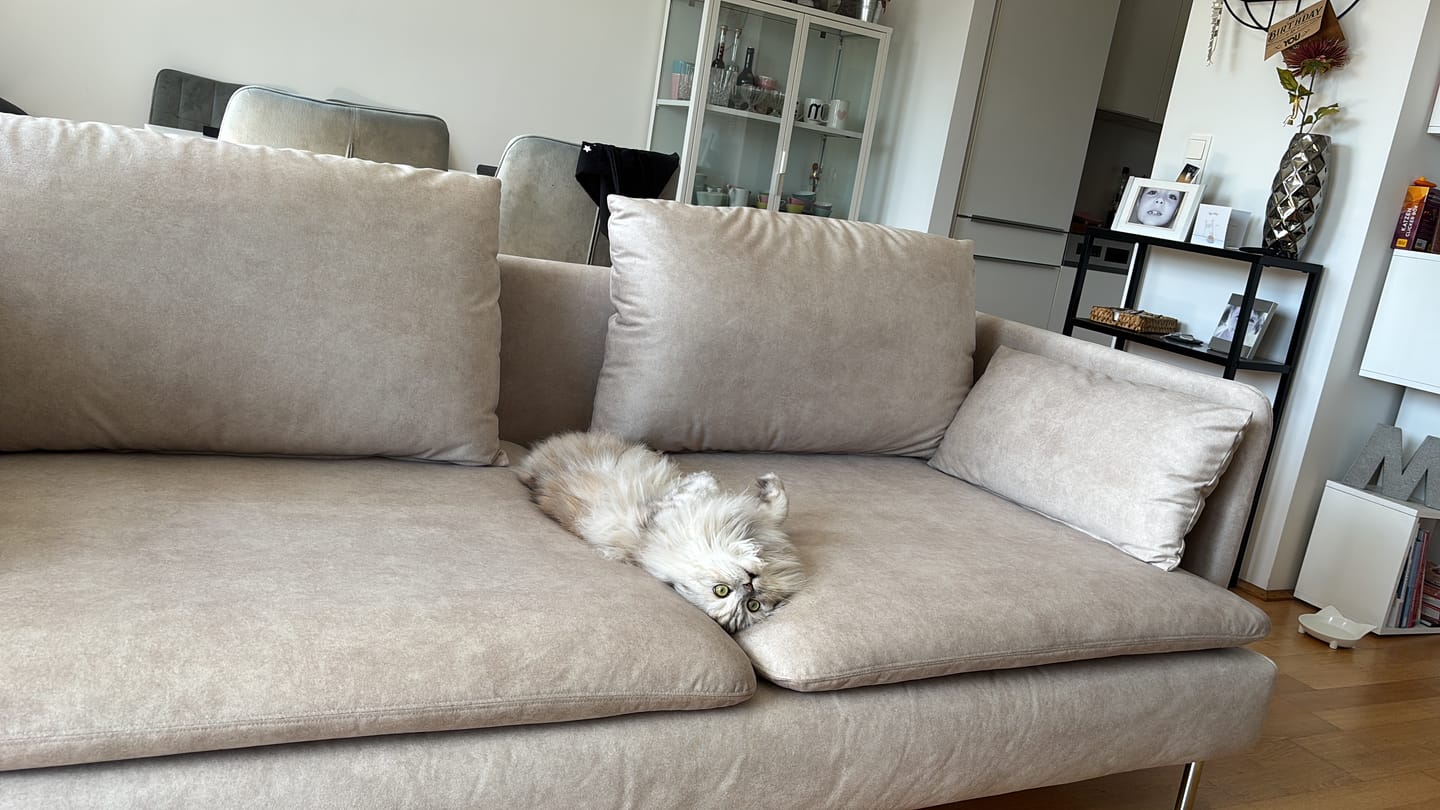 Customer photo review of Fabric Samples