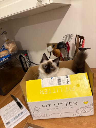 Customer photo review of 1 Month Supply – 2 Cat