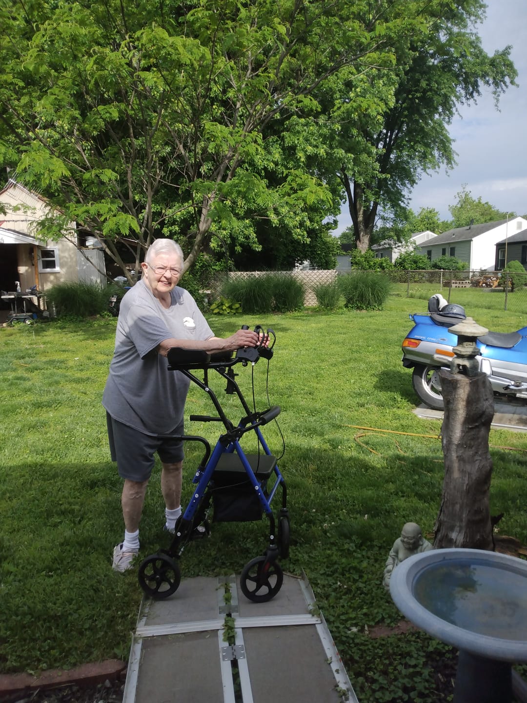 Customer photo review of MT-8151 Dual-Brake Upright Walker 8" Wheels