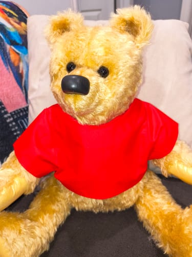Customer photo review of Rumbly and Pinky PDF pattern  Approx 37cm Seated (Pooh) 22cm Seated (Piglet)