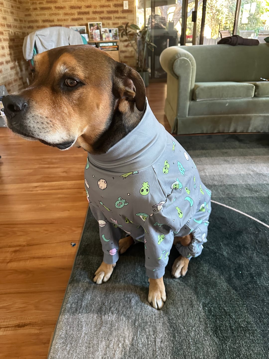 Customer photo review of Dog Pajama - Alien