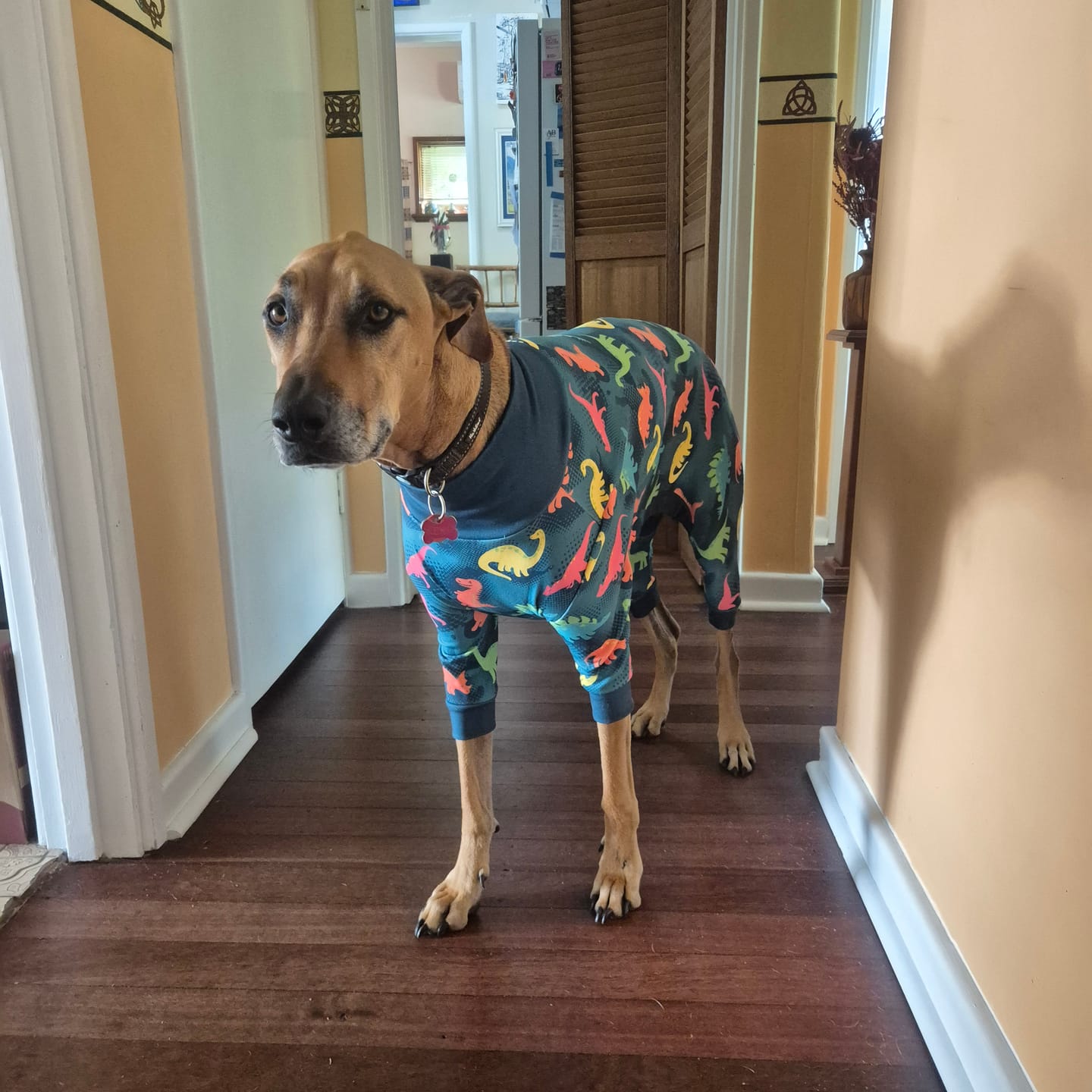 Customer photo review of Dog Pajama Prints