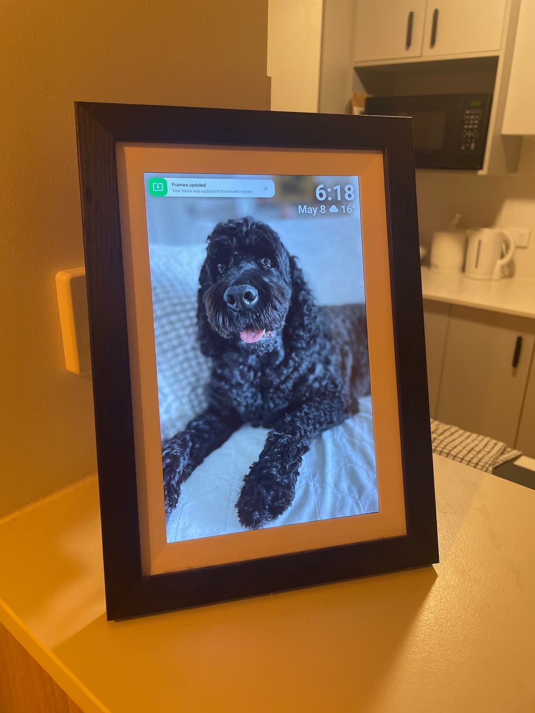 Customer photo review of Digital Photo Frame