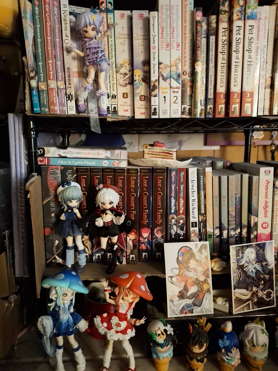 Customer photo review of Mogo Bloom Series 1/12 Action Figure BJD Blind Box【Shipped in Jan./Feb. 2026】