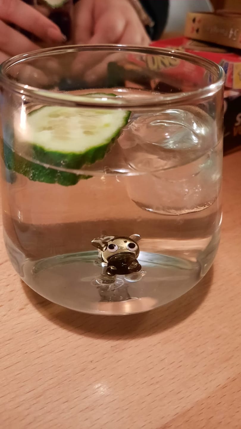 Customer photo review of Hippo Glass