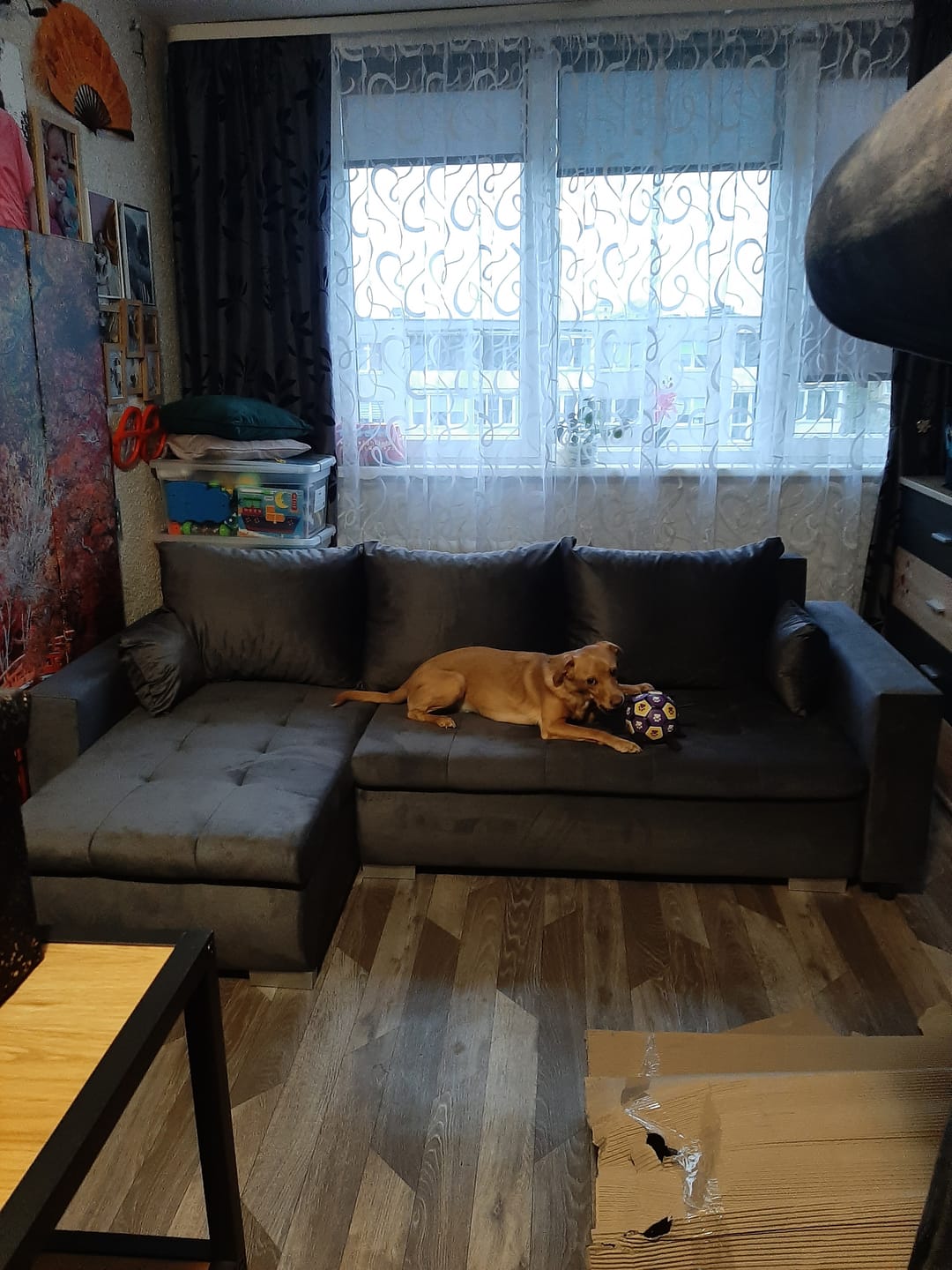 Customer photo review of Minkštas kampas LOKO