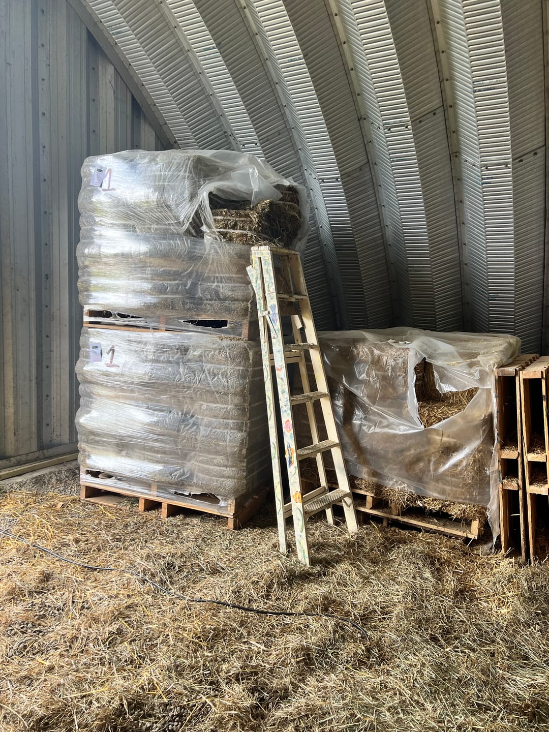 Customer photo review of Timothy Orchard Grass Hay (Click here for Qty Discount) Grass Hay (Buy More - Save More)(Includes delivery too!)