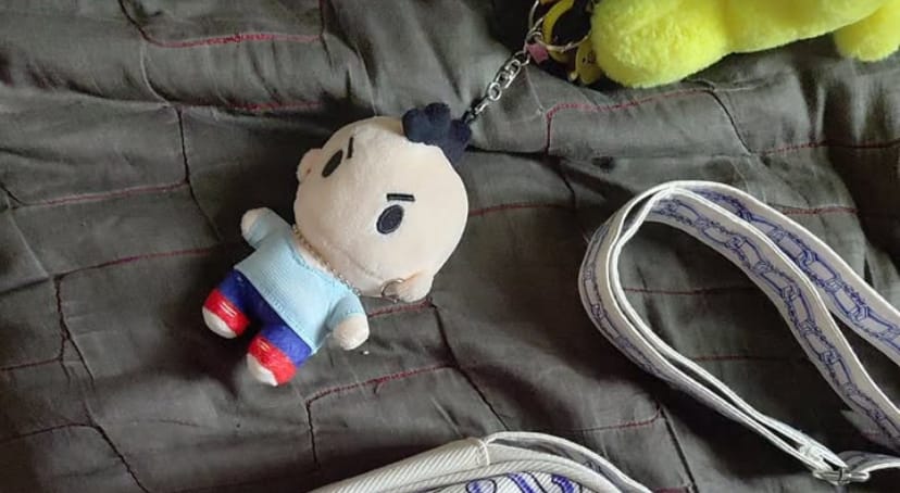 Customer photo review of MINI PLUSHIES