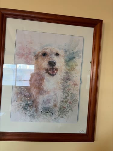 Customer photo review of Personalised Poster With Dog or Cat - Watercolour