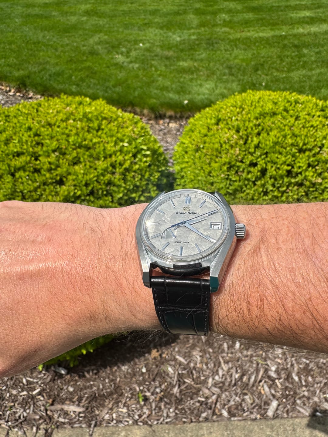 Customer photo review of Matte Black Alligator