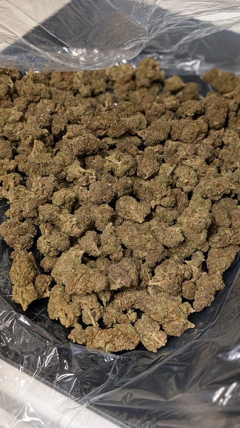 Customer photo review of Maui Wowie - Bulk - Sativa