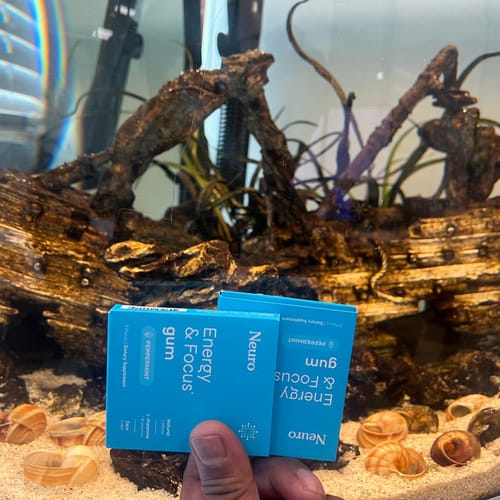 Customer photo review of Energy & Focus Gum