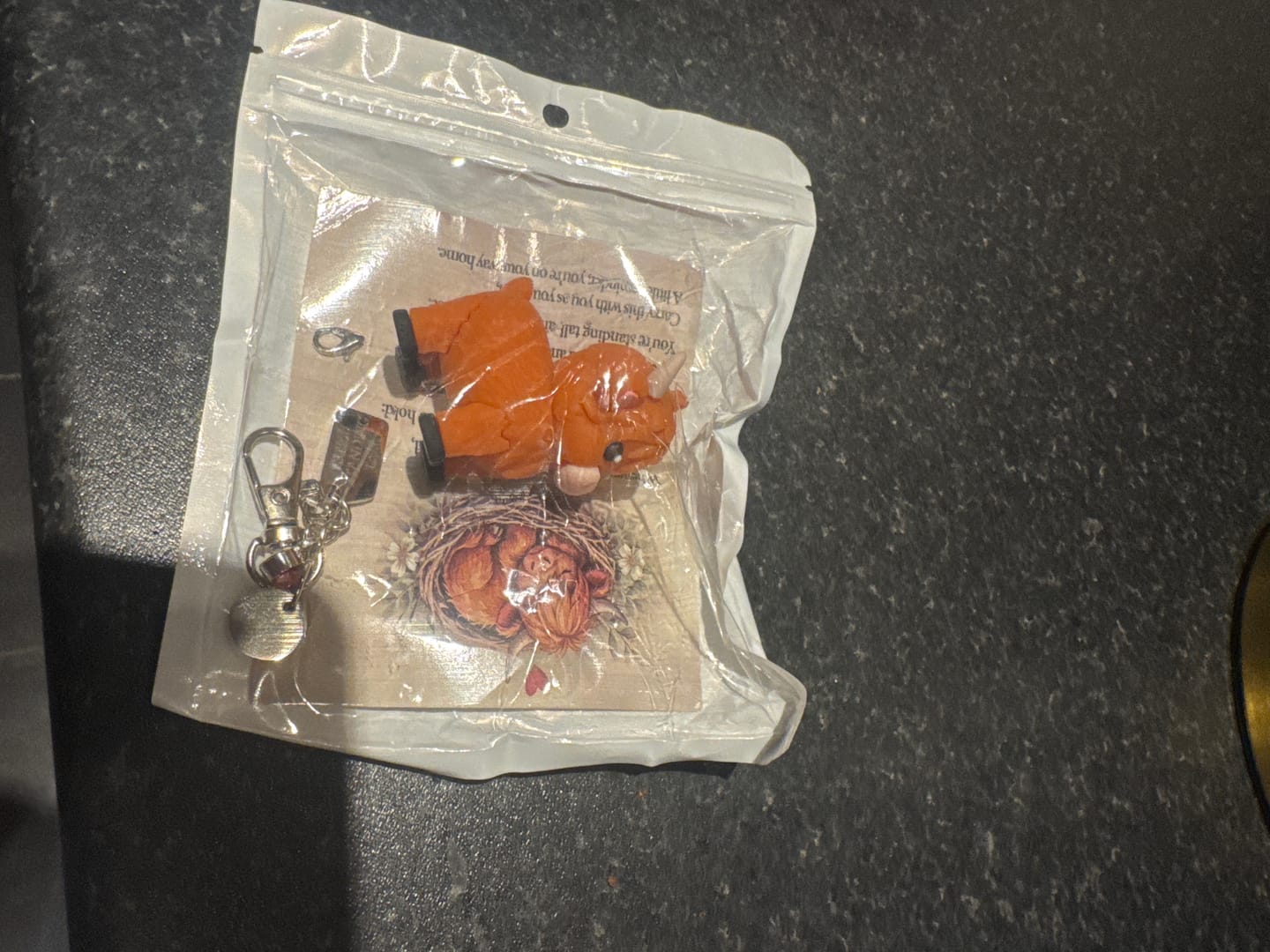 Customer photo review of 🐮A Little Highland Cow For You Keychain: Your Daily Reminder of Quiet Strength