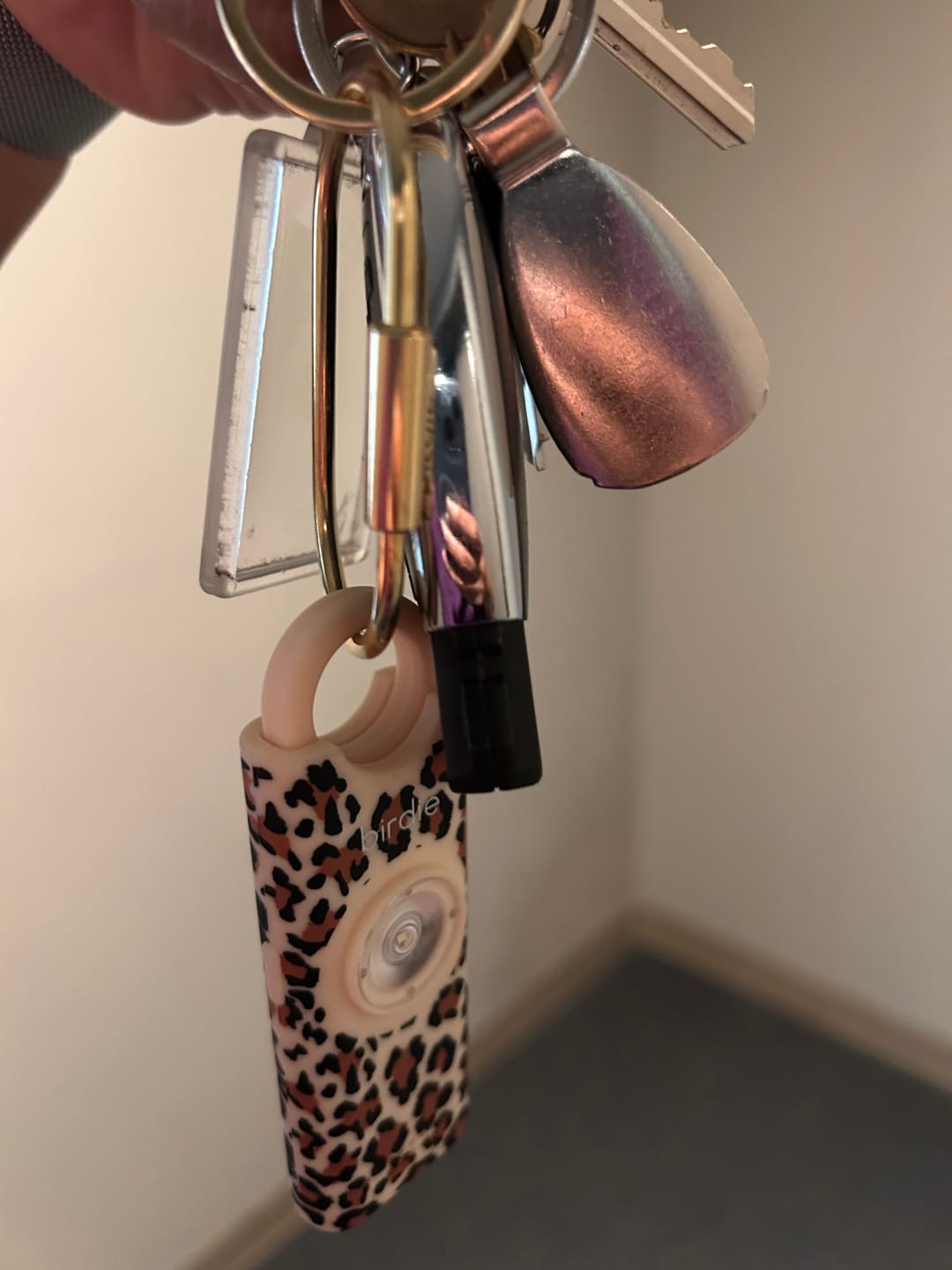 Customer photo review of Birdie 3.0