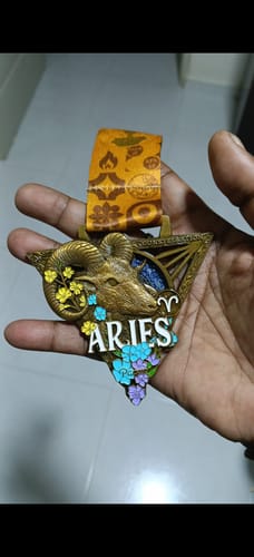 Customer photo review of Zodiac Virtual Races - Aries