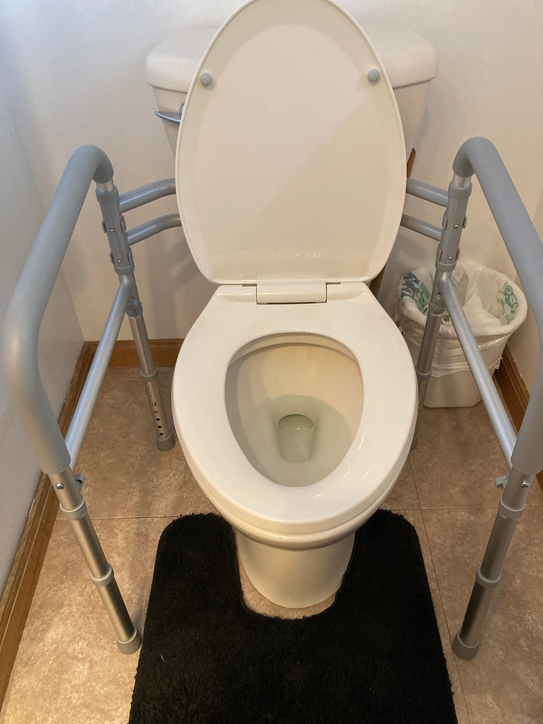 Customer photo review of Toilet Safety Rail (350lb)