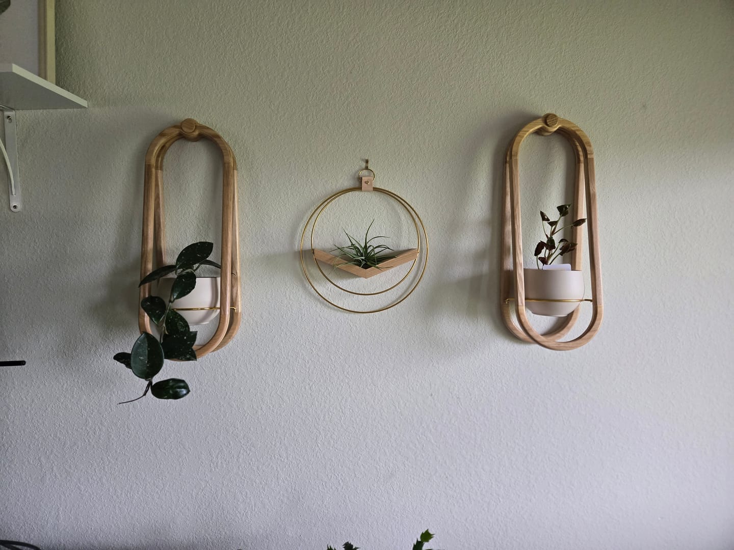Customer photo review of Frame Wall Planter + Pot Duo