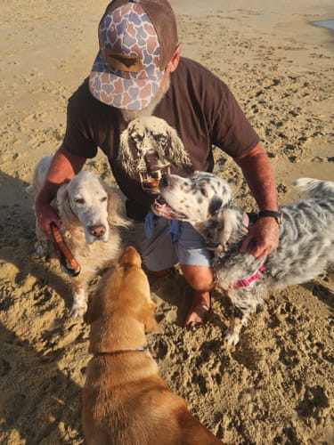 Customer wearing the brown Whiskey English Setter Grunge T-Shirt while kneeling on a sandy beach with three dogs.