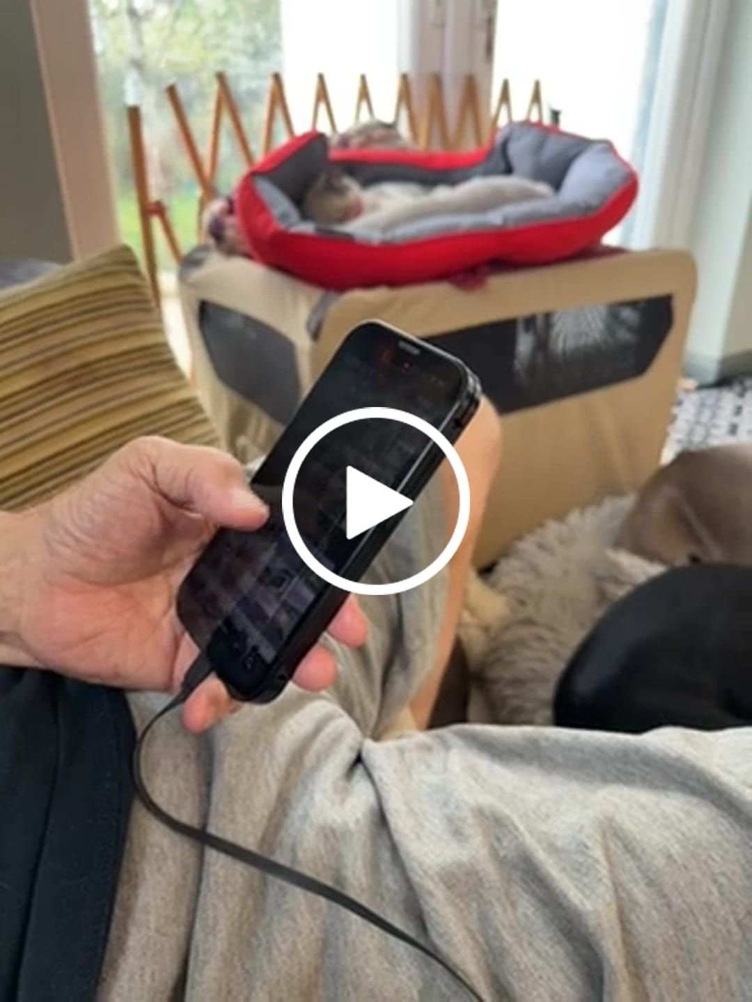 Customer video review of MagCase Ultra