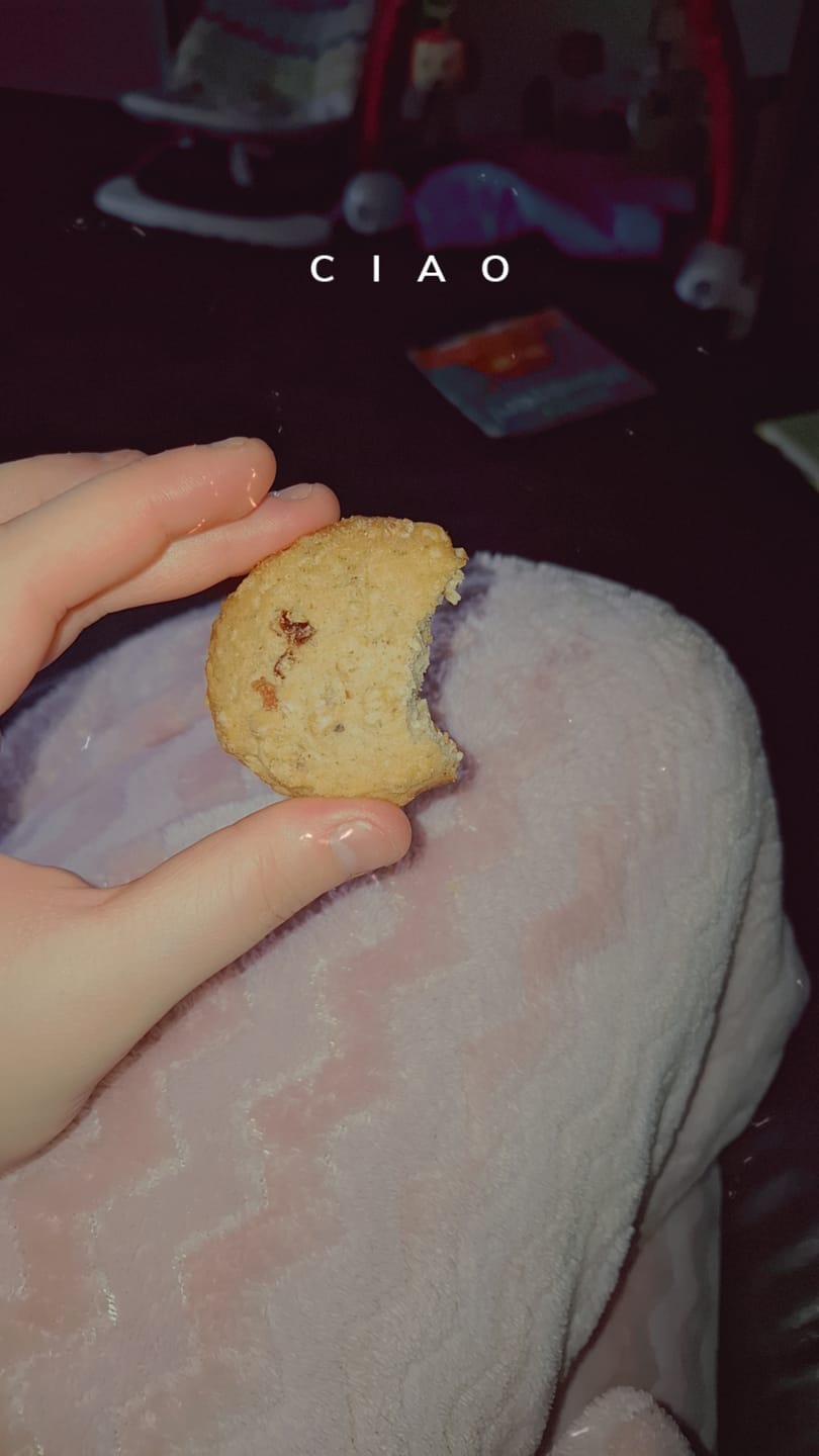 Customer photo review of Coconut Cranberry Lactation Cookies