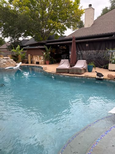 Customer photo review of Skimmer Saver (14" wide)