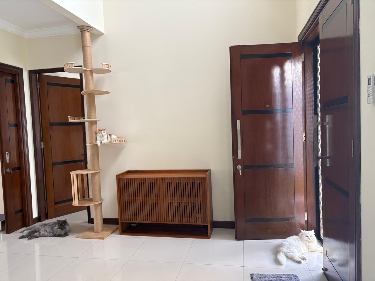 Customer photo review of Custom-Made | Medium Size Teak Shoe Cabinet