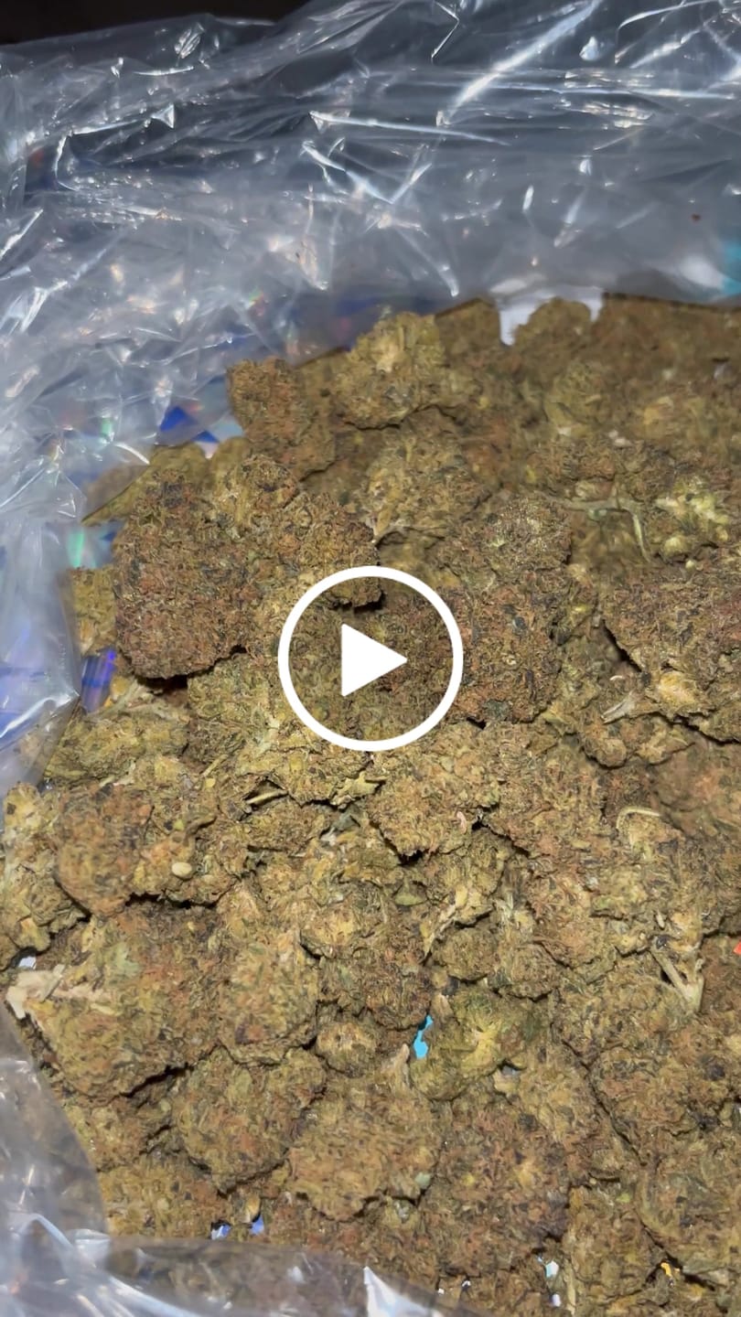 Customer video review of CheeseCake 41- Bulk - Indica