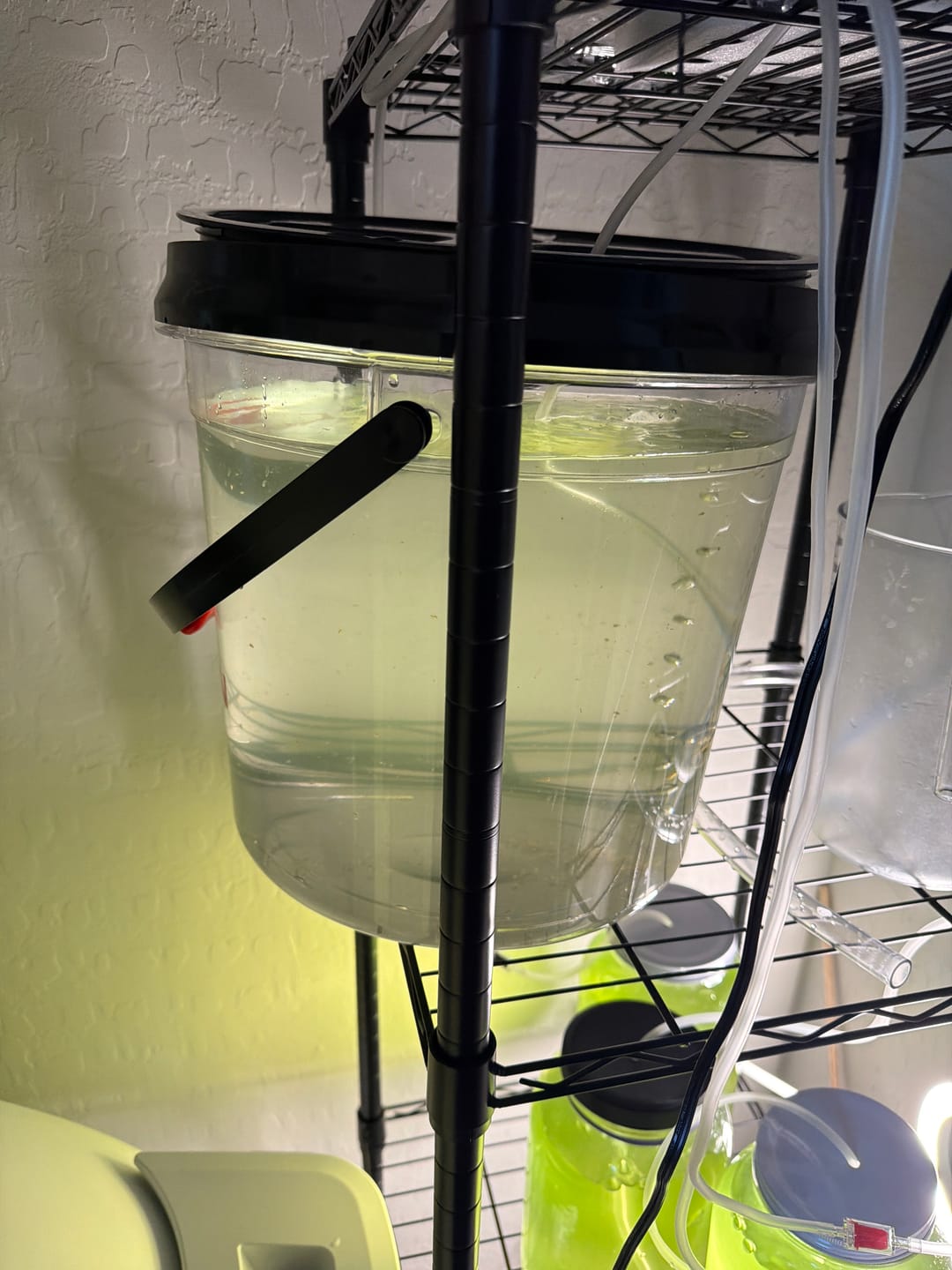 Customer photo review of Phantom Clear 5 Gallon Wash Bucket