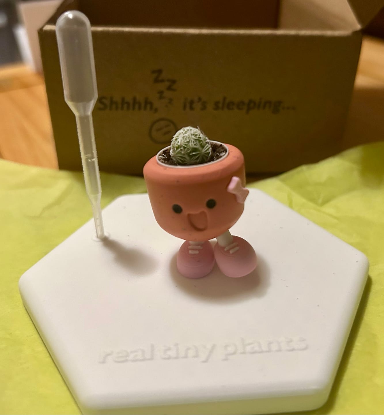 Customer photo review of Tiny Mama Special Edition: Glitter Mama