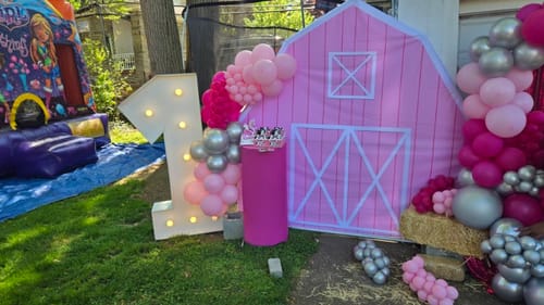 Customer photo review of Pink Barn Door Farm Theme Party Decoration for Kids Birthday Party