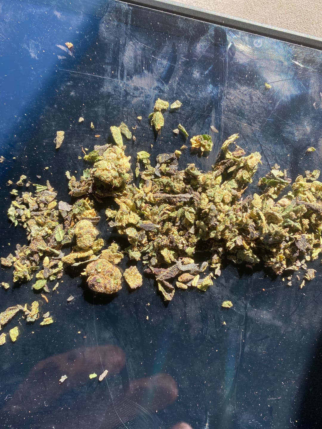 Customer photo review of Lemon Haze Indoor THCA Trim