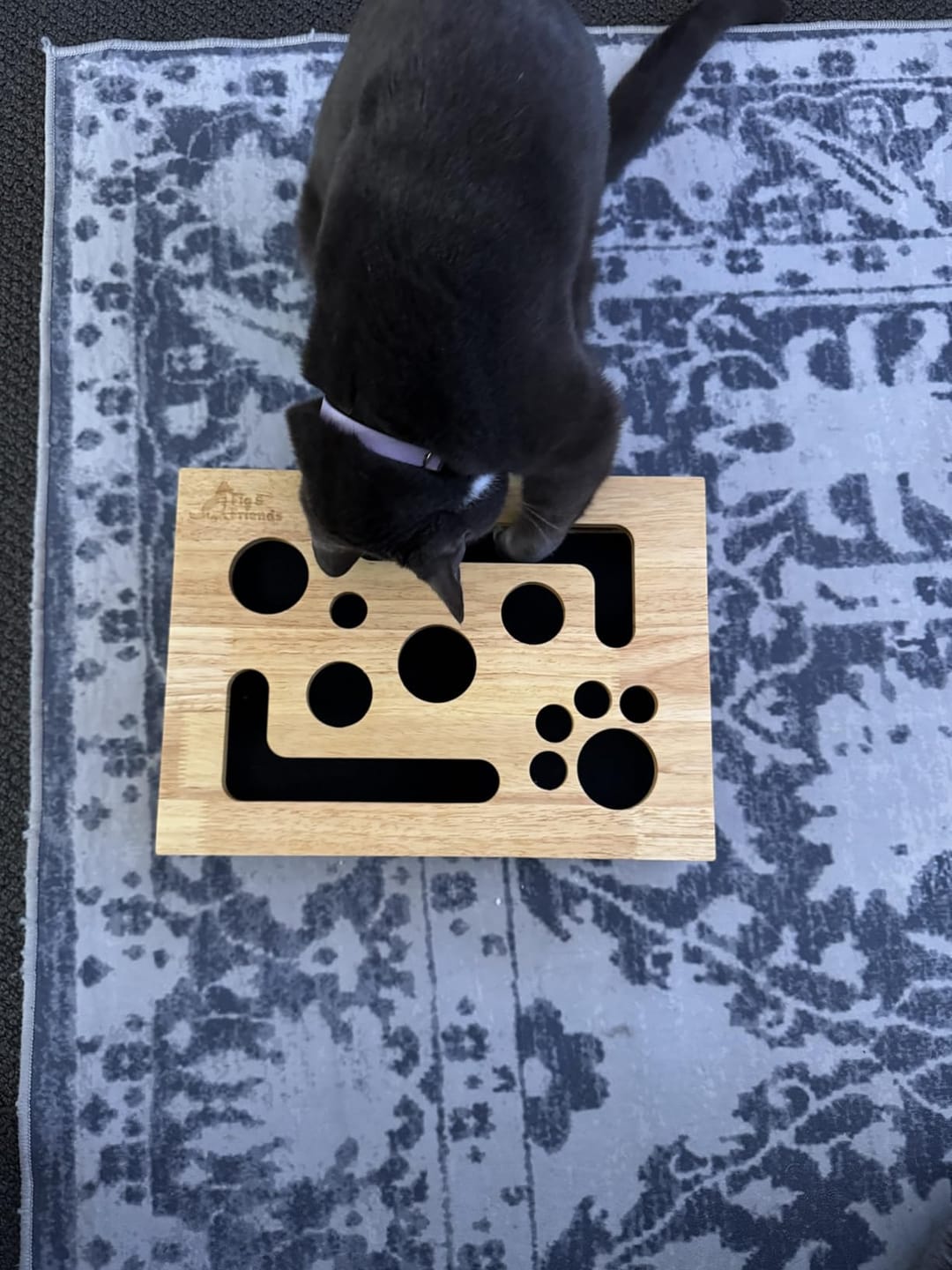 Customer photo review of ClawEase™ Cat Nail Filing Box