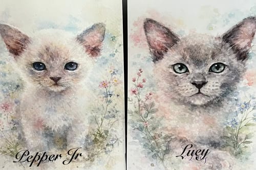 Customer photo review of Personalised Poster With Dog or Cat - Watercolour