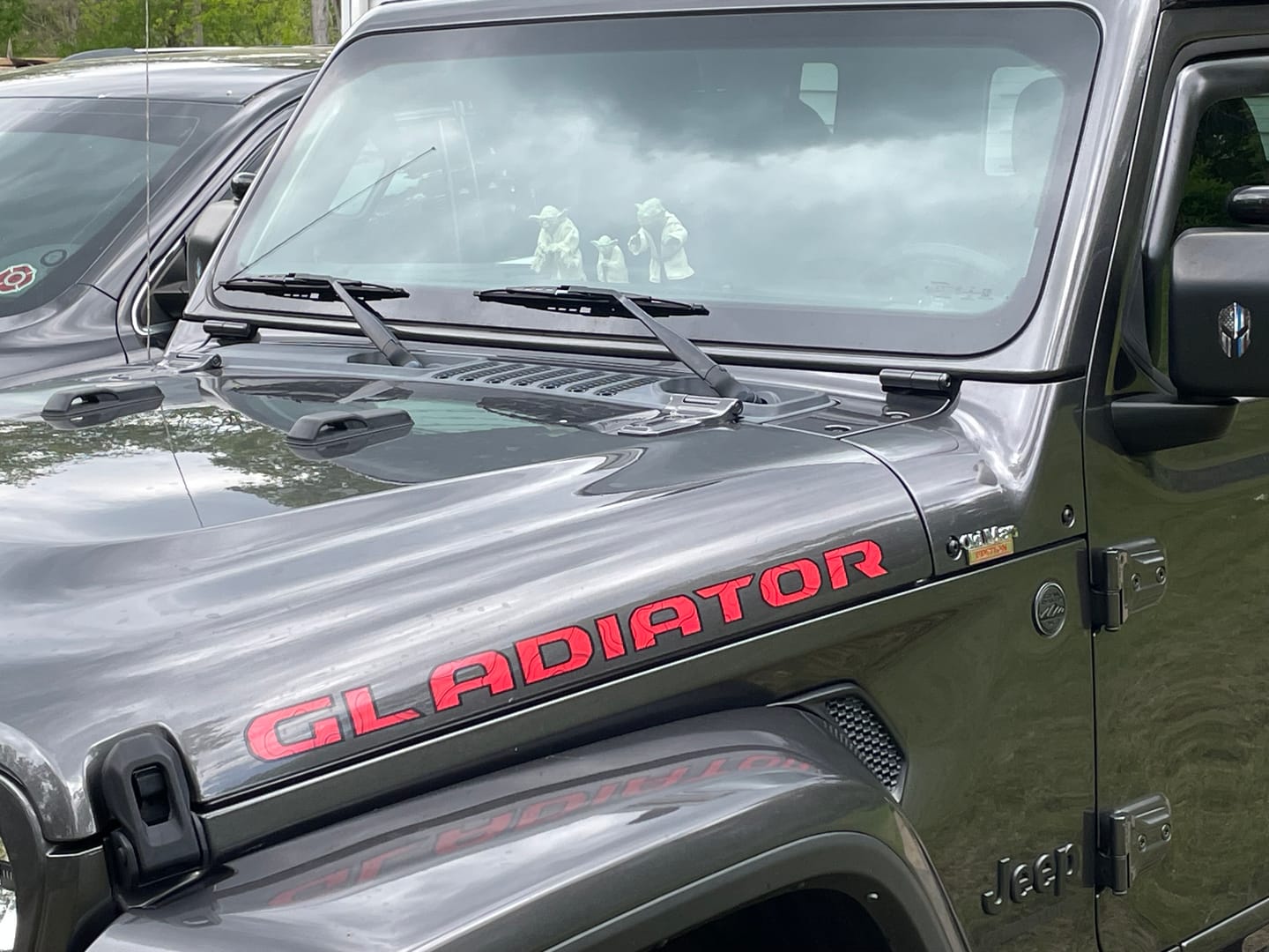 Customer photo review of Gladiator Hood Lettering - Topography with Black Outline