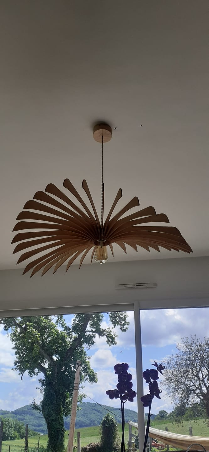 Customer photo review of Ampoule LED E27 12W