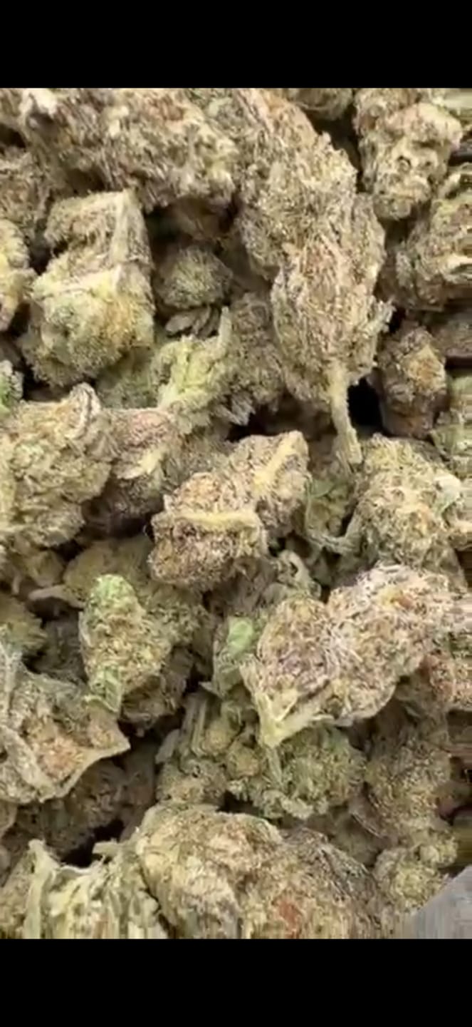 Customer photo review of White Nerds Indoor Mediums - Bulk Mediums - Hybrid