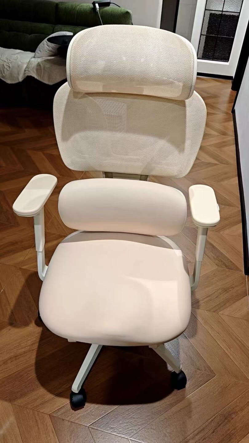 Customer photo review of S3 Pro Office Chair with Colorful Lifestyle Design