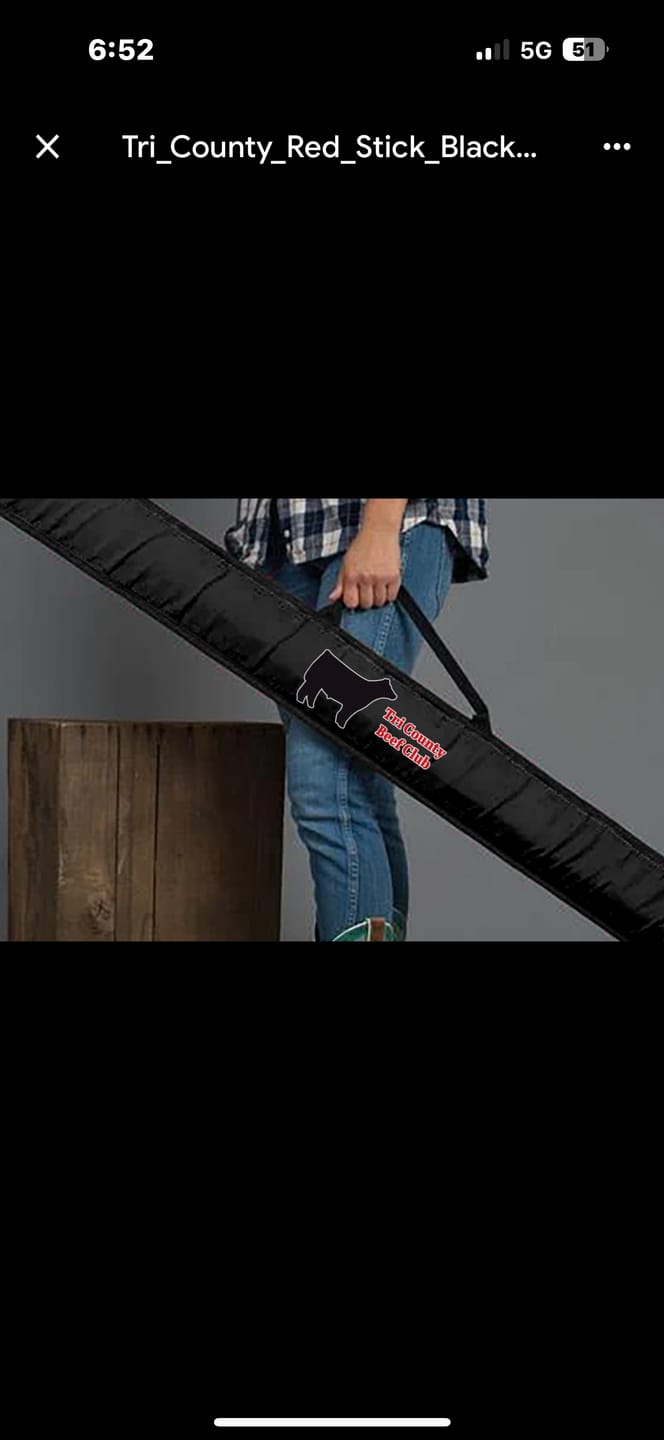Customer photo review of The BOSS - Bag of Show Sticks