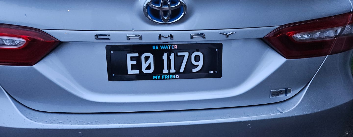 Customer photo review of Number Plate Security Screws
