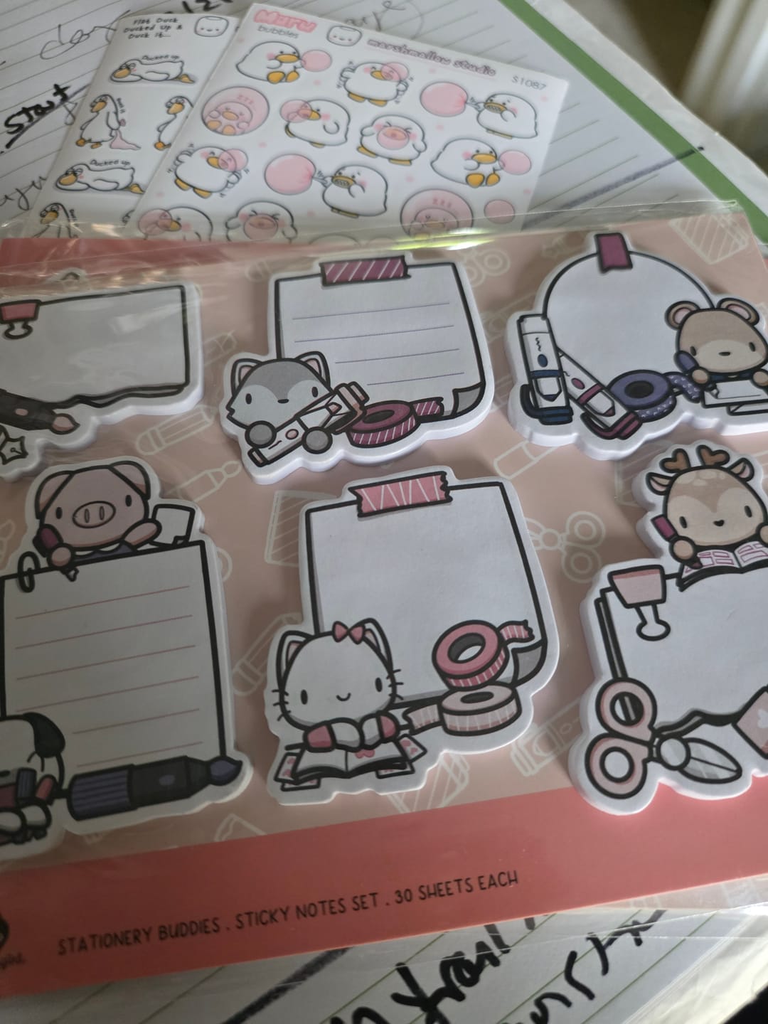 Customer photo review of Stationery Buddies Sticky Notes Set