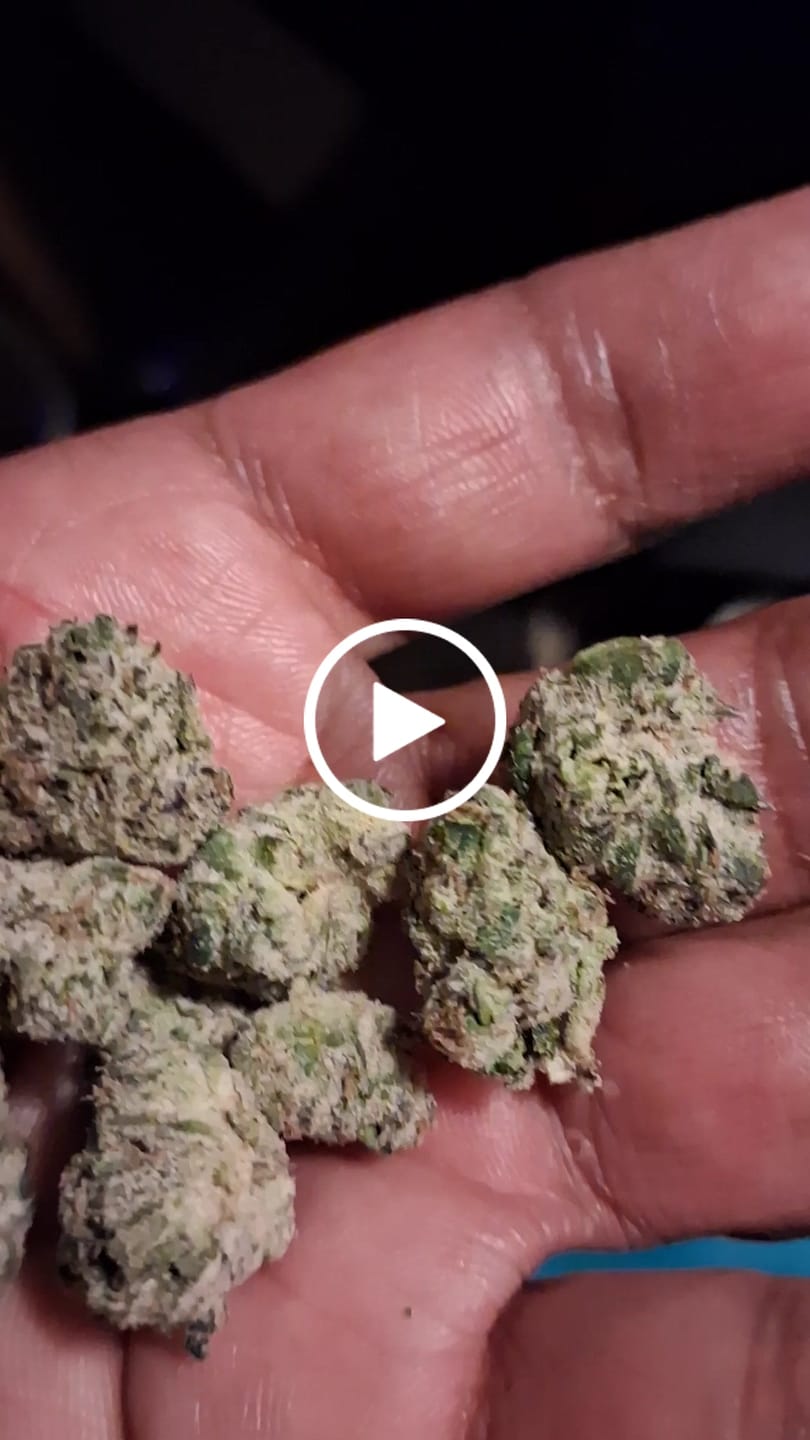 Customer video review of Boutique Exotics  Lemon Dior - Bulk - Hybrid