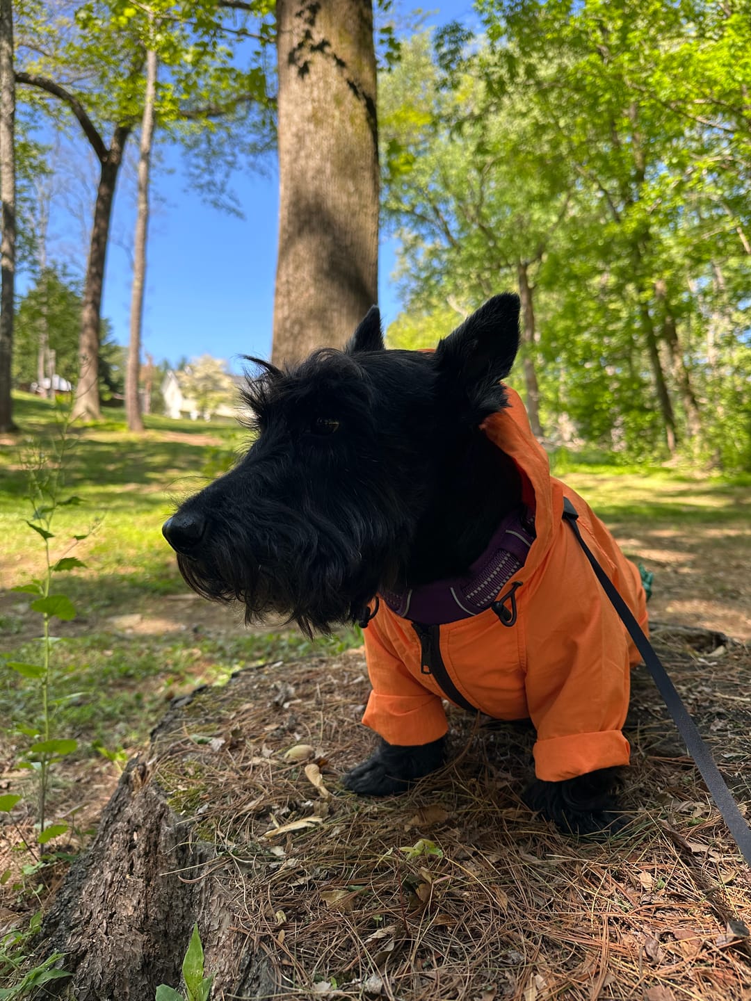Customer photo review of Nylon Coverall