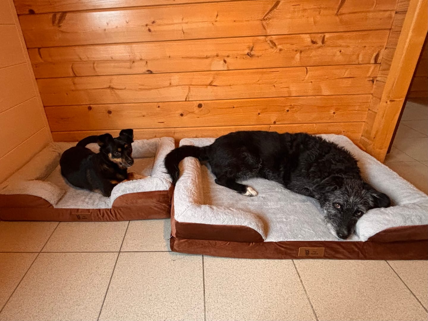 Customer photo review of Pet Perfect Orthopedische Hondenmand - Model 3