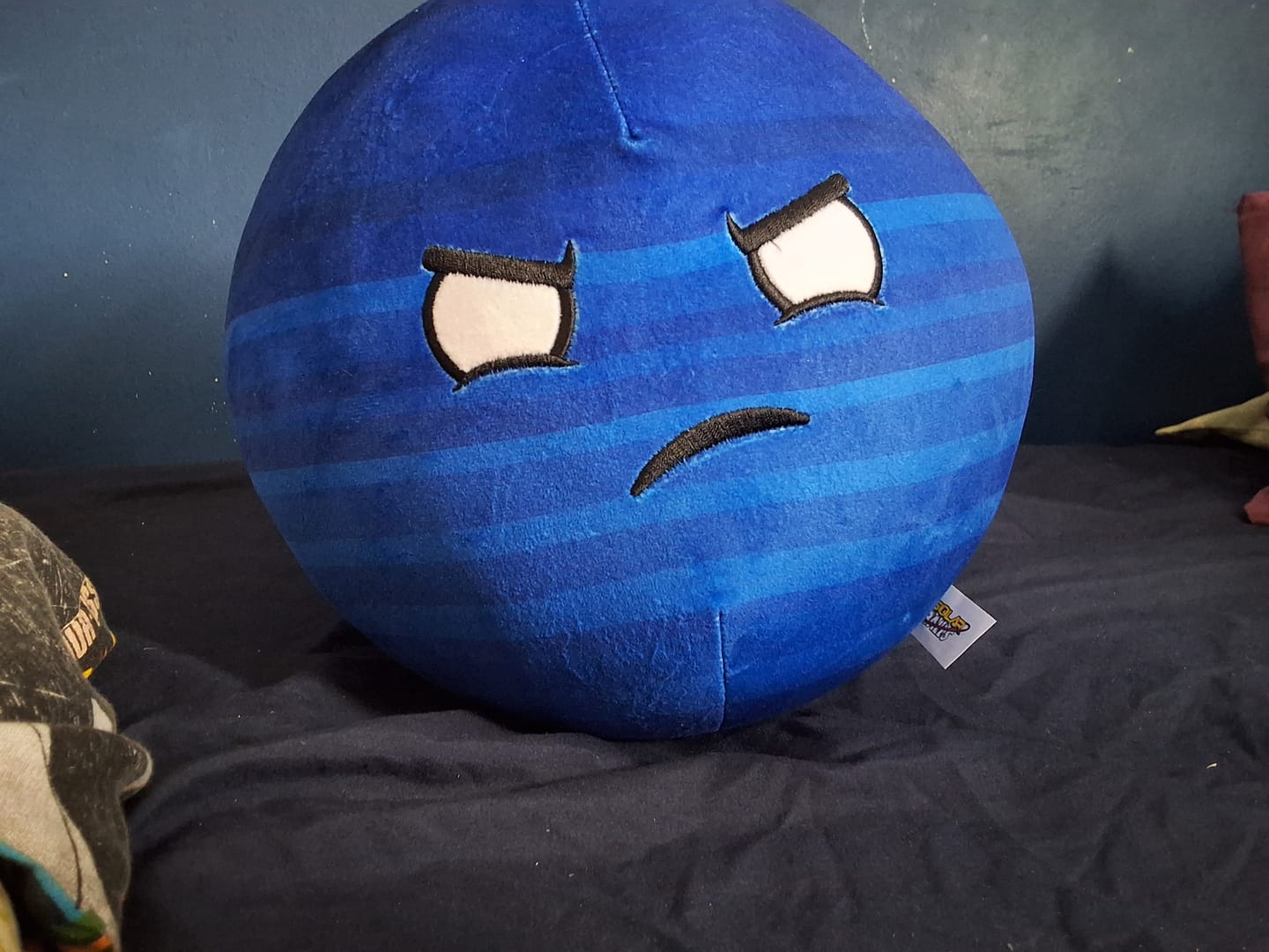 Customer photo review of The SolarBalls Planet X Plush