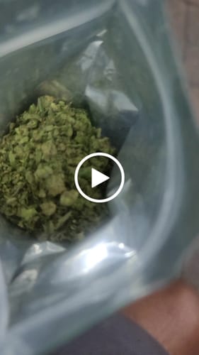 Customer video review of Girl Scout Cookies Shake (BOGO)
