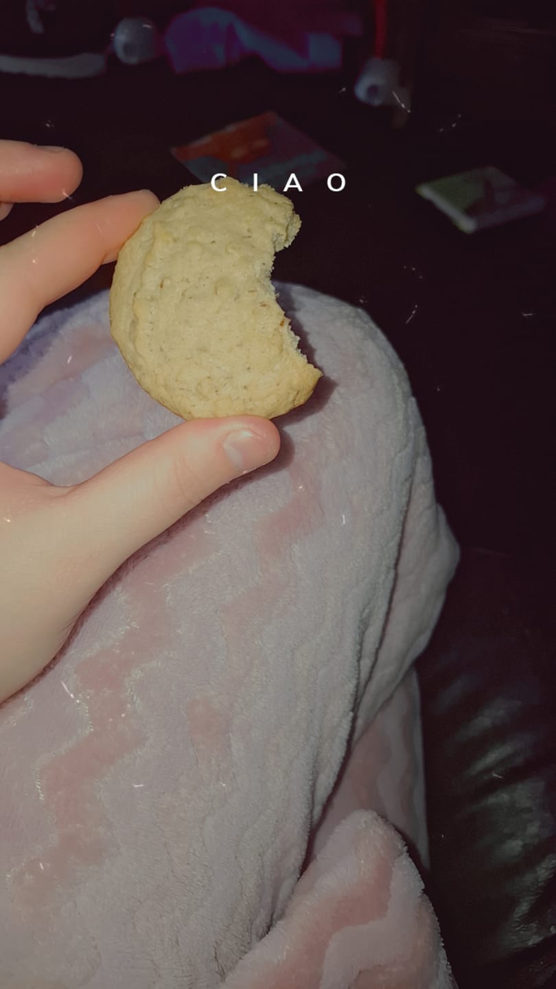 Customer photo review of Peanut Butter Choc Lactation Cookies